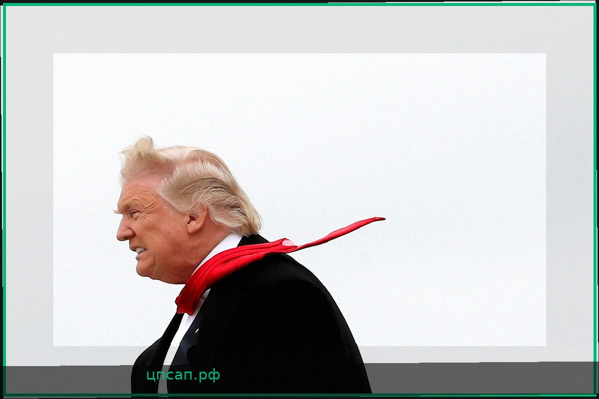 Трамп потребовал от Европы миллиарды долларов
