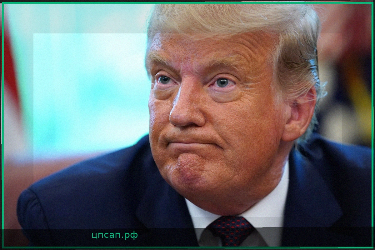 Дональд Трамп раскритиковал Европу и НАТО