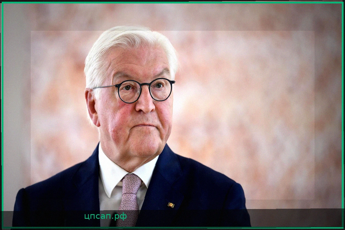 Штайнмайер: Президент Германии должен быть политиком-профессионалом