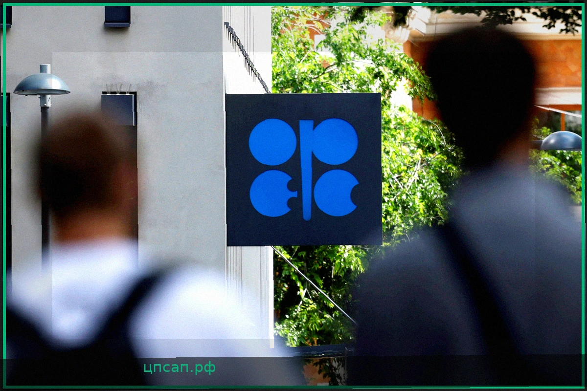 Волейбол: «Бенфика» подтверждает уход четырех игроков женской команды