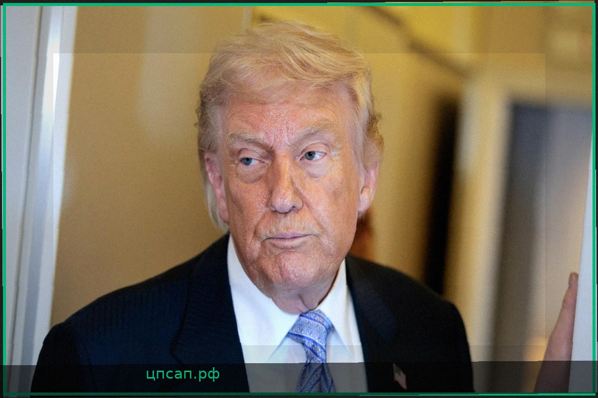 Трамп: США и Нигерия ликвидировали заместителя главы террористической организации «Исламское государство»